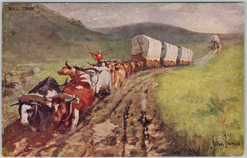 John Innes Artist Bull Train Wagons Cowboy Western Postcard 