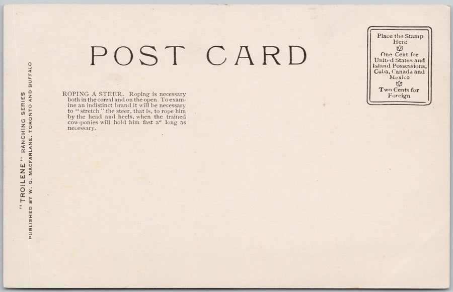 John Innes Artist Roping a Steer Roper Cowboy Western Postcard SP22