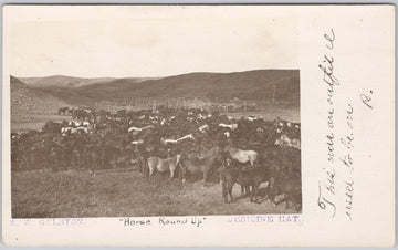 Horse Round Up Medicine Hat Alberta AB Horses Scarce A. W. Gelston RPPC Private Postcard 