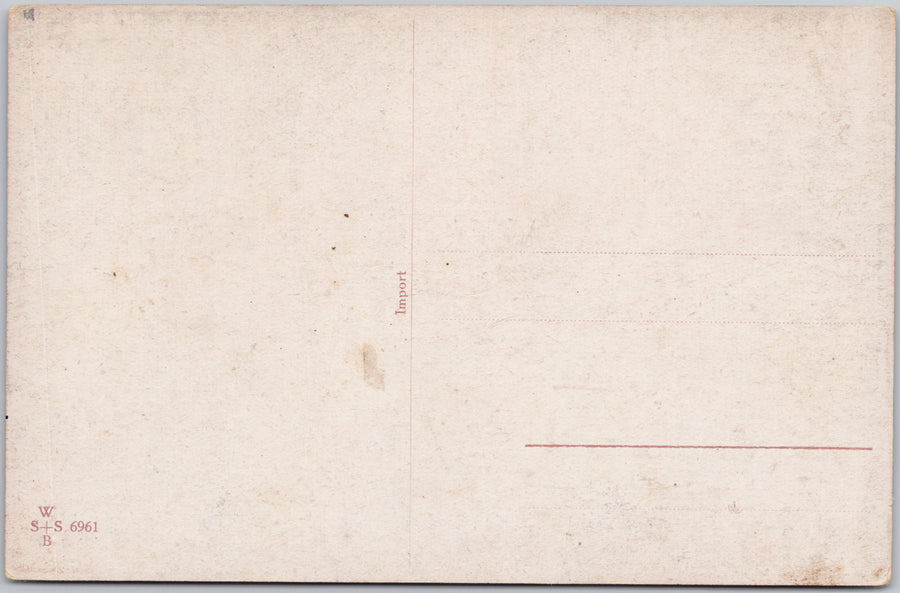 Bison Stampede Buffalo Herd Running from Prairie Fire M. Muller Artist Postcard SP22