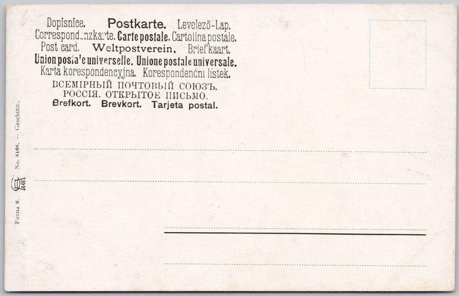 Mother Bear with Cubs Alpine Mountains Perlbach Perlberg Artist Postcard SP22