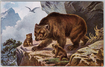 Mother Bear with Cubs Postcard