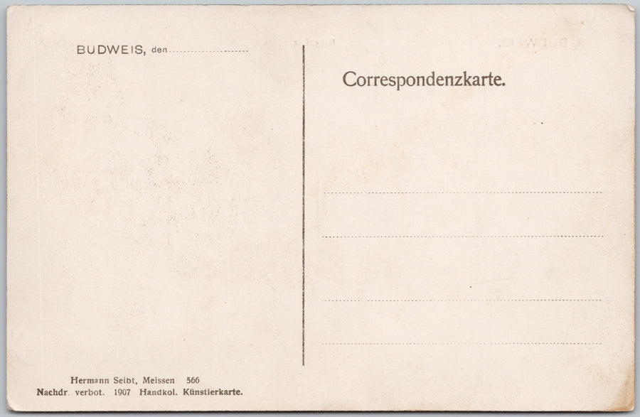 Budweis Ceské Budejovice Ringplatz Market Square Fountain Austria-Hungary Postcard SP22