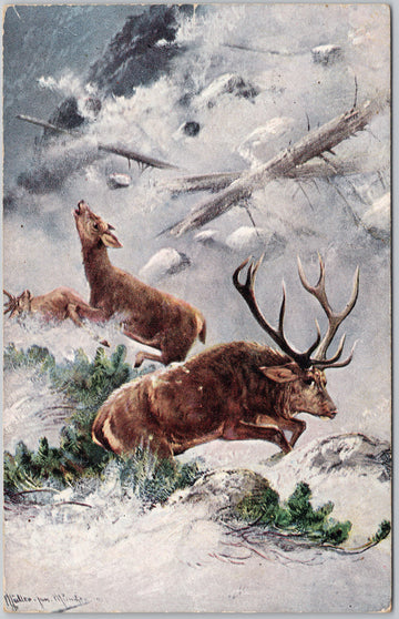 Stag and Hind Fleeing Avalanche M Müller Jun KEM Serie 252 Postcard