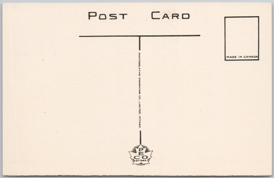 Auditorium Winnipeg Manitoba MB The Aud Unused PECO Postcard SP22