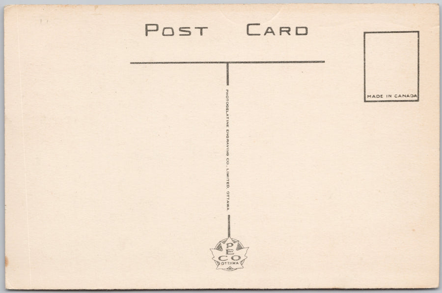 Winnipeg Manitoba Assiniboine River and Red River MB PECO Postcard