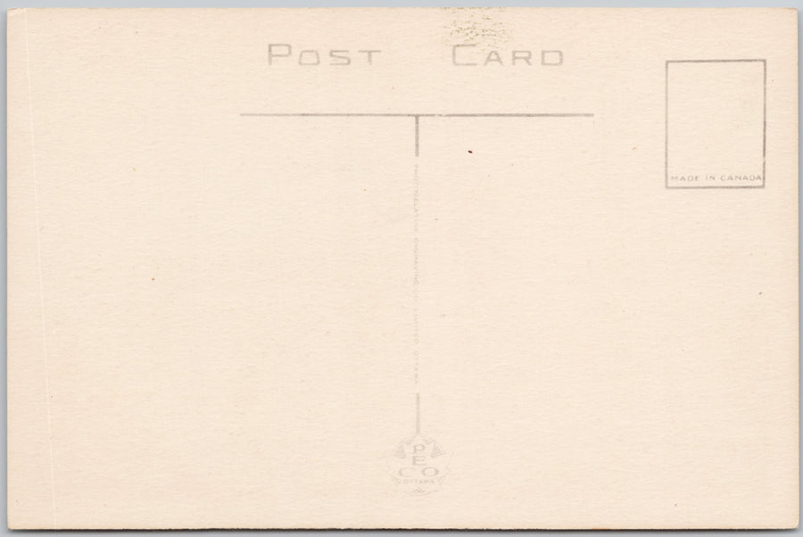 Western Steer in Full Action Rodeo Cowboy Canadian Prairies Unused PECO Postcard SP22