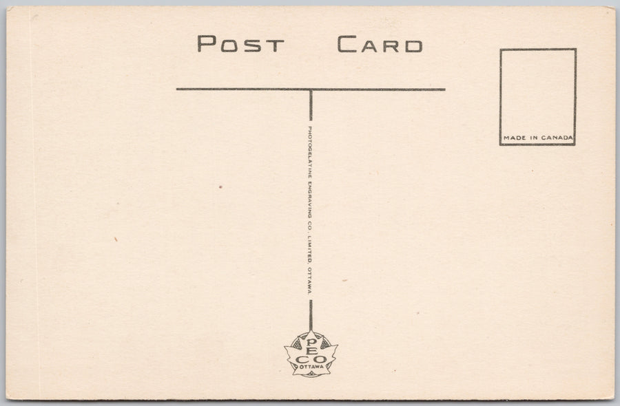 Winnipeg Manitoba Grand Staircase Parliament Bison Buffalo MB PECO Postcard