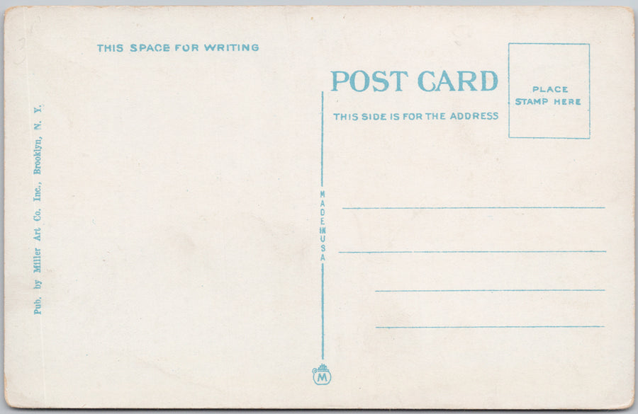 Public School No.125 Woodside Long Island NY Miller Art Co 1920s Postcard SP22