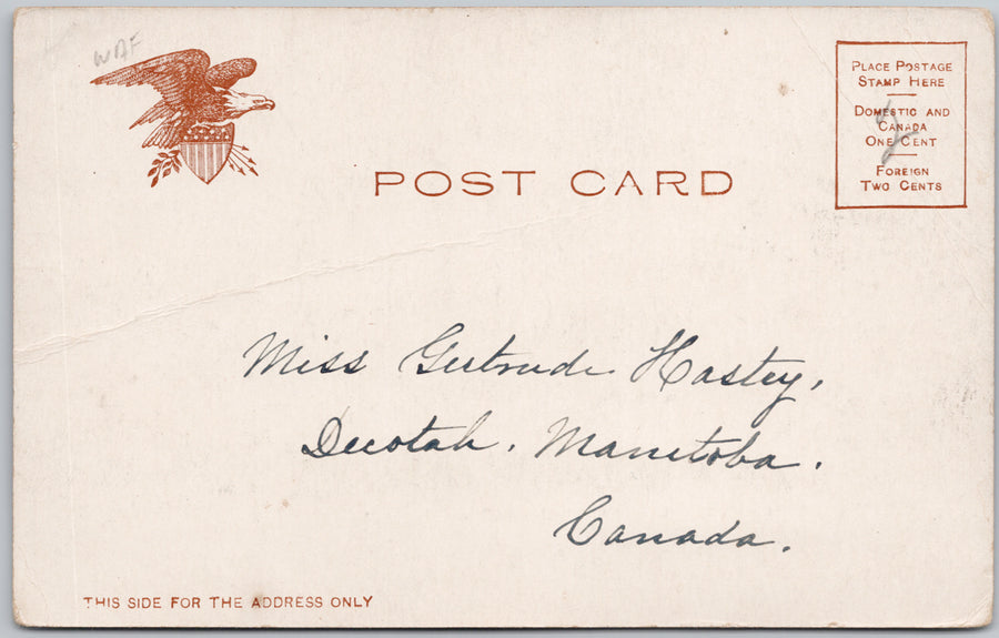 Midwood Club Flatbush Brooklyn NY Illustrated Post Card Postcard SP22 *as is