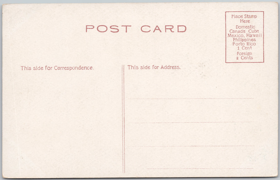 Central Park Managerie New York City Early 1900s Postcard