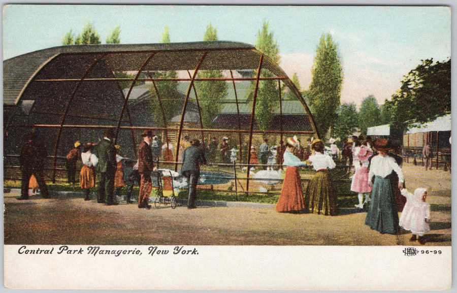 Central Park Managerie New York City Early 1900s Postcard
