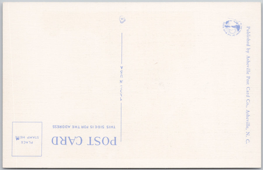 Big Run Trout Stream Shenandoah National Park VA Virginia Linen Postcard SP22