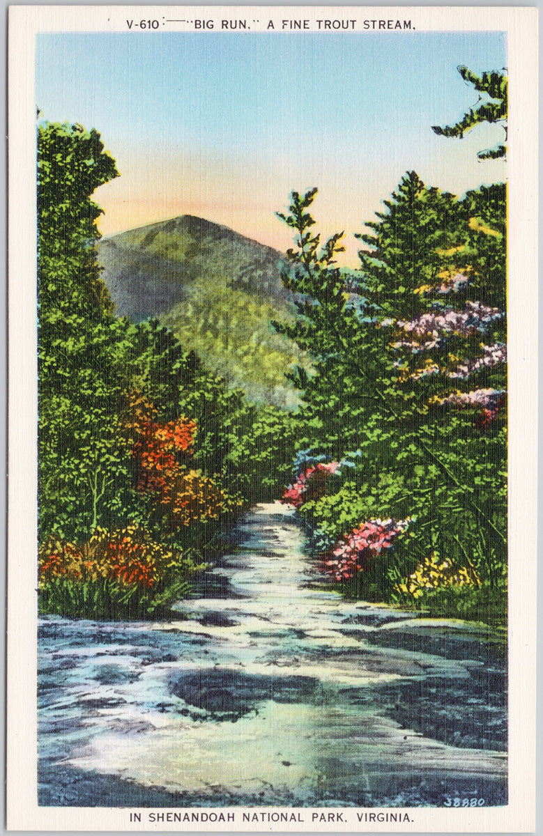 Big Run Trout Stream Shenandoah National Park VA Virginia Linen Postcard