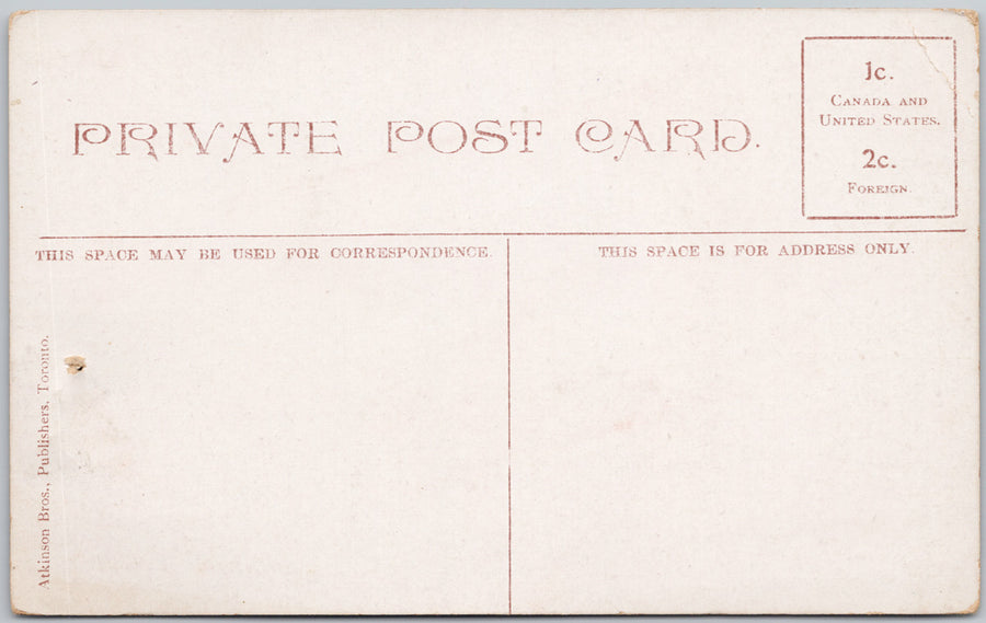 Cattle on Prairie near Strathcona Alberta Edmonton Atkinson Bros (Hard to Find) Postcard SP22 *as is