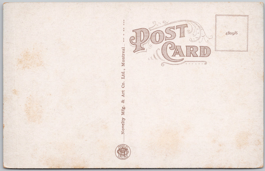 Evangeline's Well and Willow Grand Pré Nova Scotia Vintage Postcard