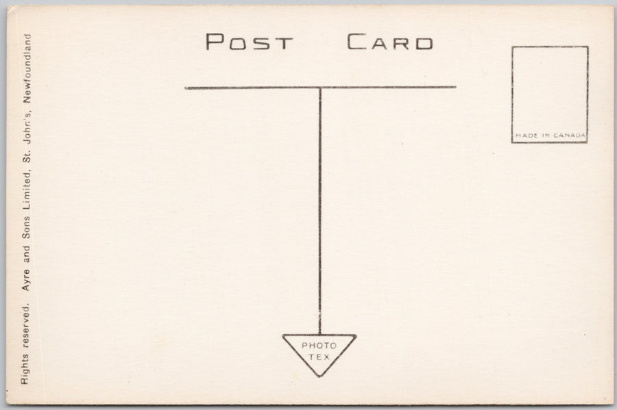 Vintage Roman Catholic Cathedral St. John's Newfoundland Litho Postcard SP22