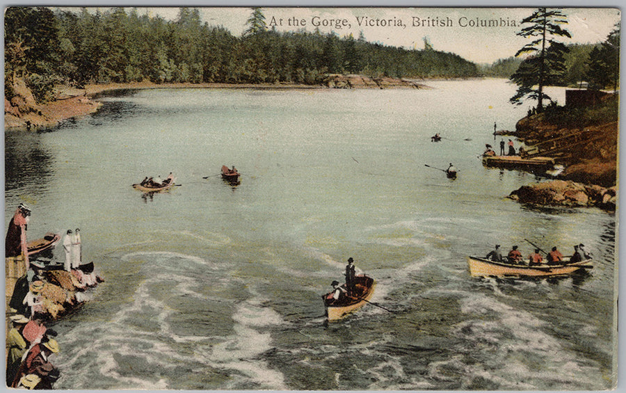 At the Gorge Victoria British Columbia Rowing Boats 1907 Vintage ...