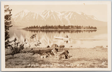 Atlin Lake British Columbia Postcard 