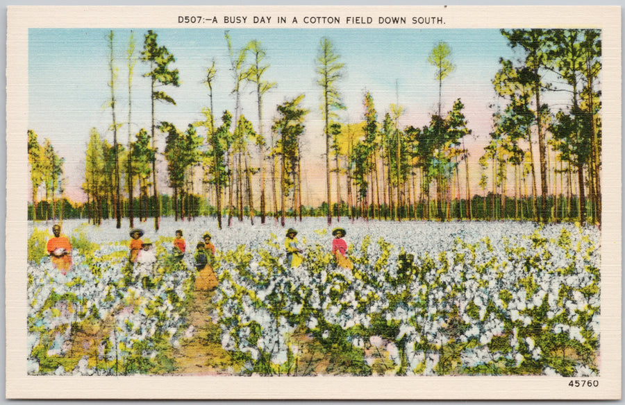 Busy Day in Cotton Field Down South Cotton Pickers Postcard 