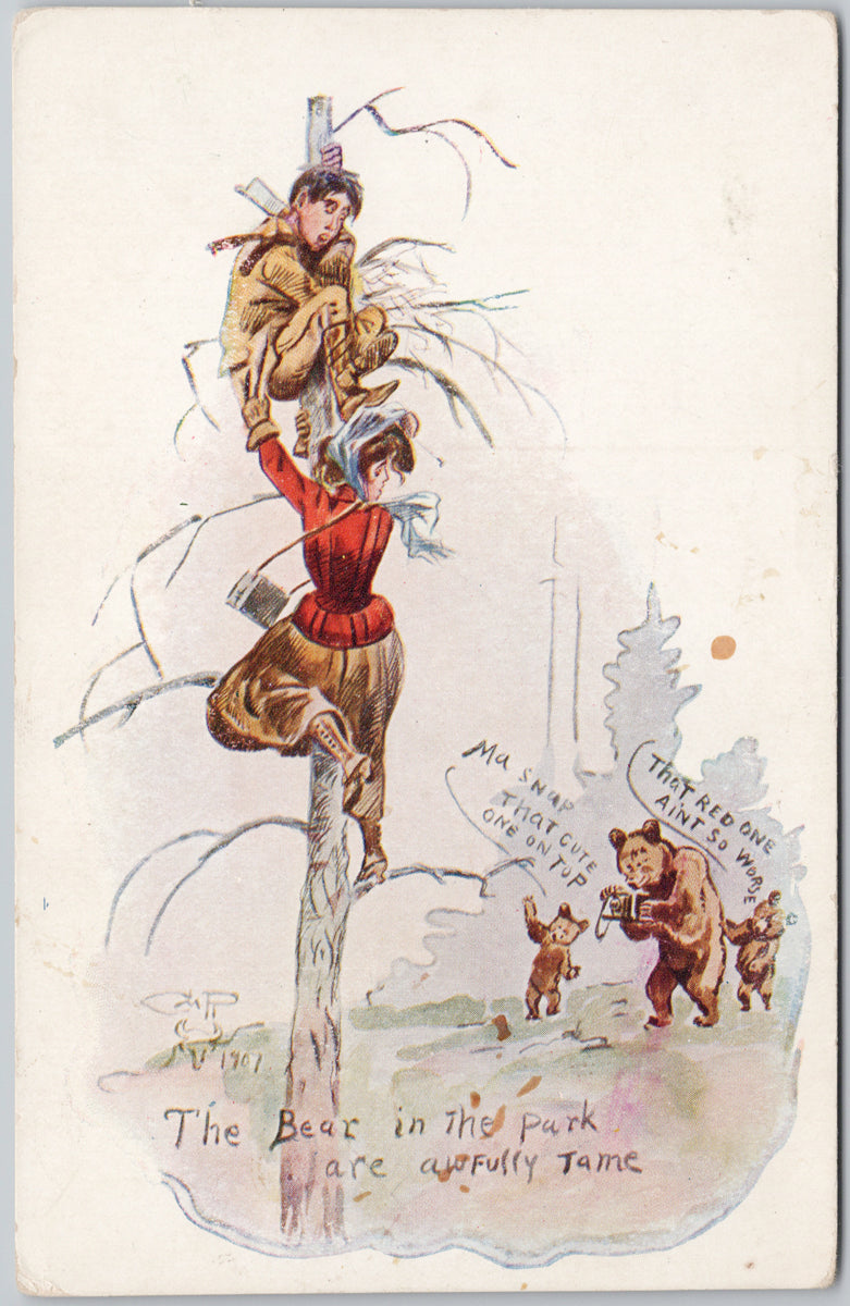 Charles M. Russell Artist Yellowstone Man Woman Tree Bears 'Bear in the Park Awfully Tame' Postcard 