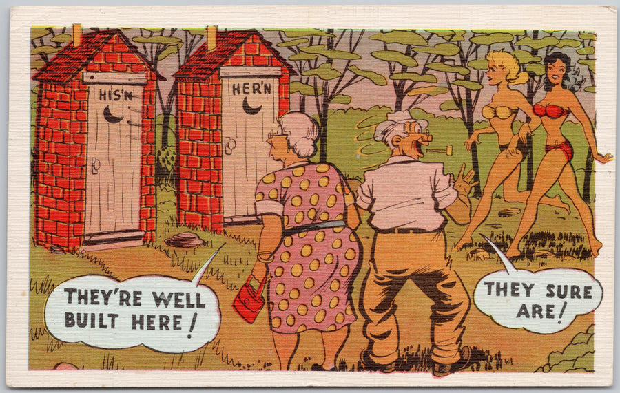 Comic Man Woman Brick Outhouses Jack Bain Postcard 