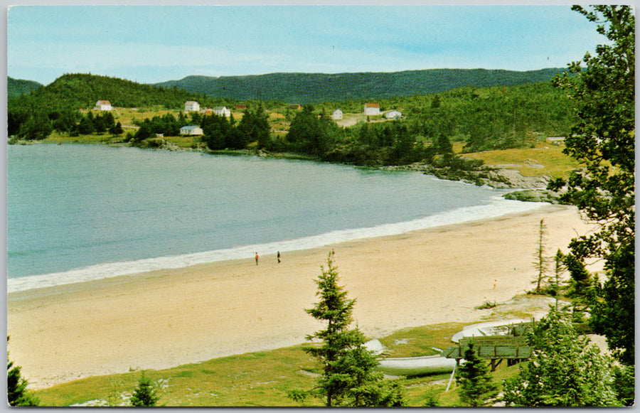 Eastport Newfoundland Bonavista Bay  Postcard