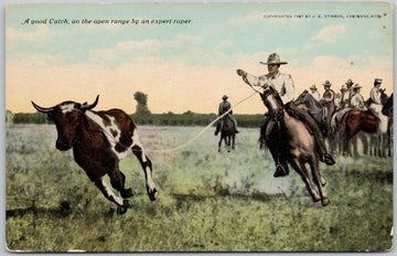 Expert Roper A Good Catch Postcard 