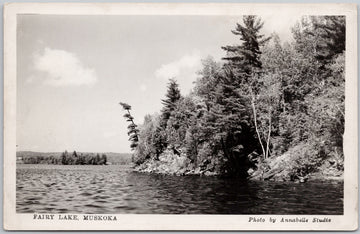 Fairy Lake Muskoka Ontario Postcard 