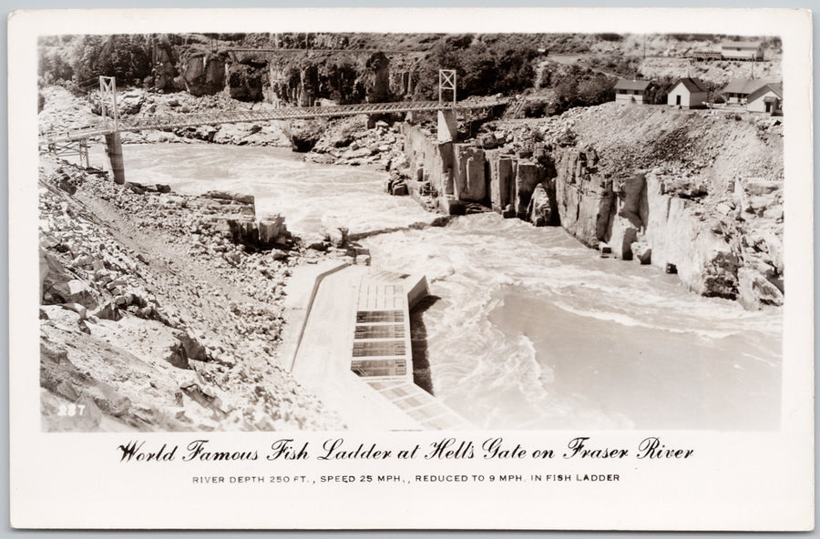 Fish Ladder Hells Gate BC Fraser River  Postcard