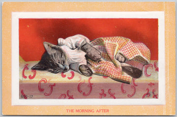 Kitten Sleeping The Morning After Cat Rotograph Co Postcard