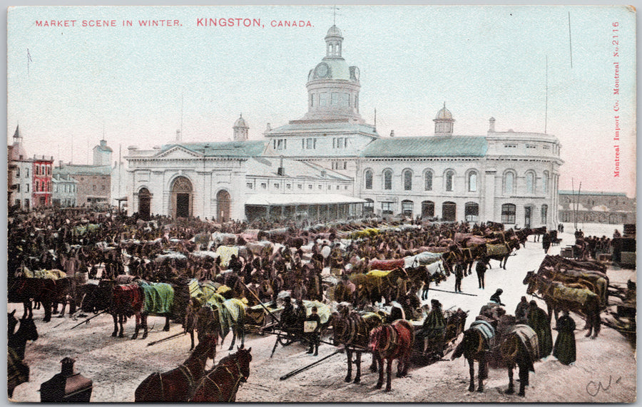 Market Square Scene and City Hall Kingston Ontario ON Unused Postcard
