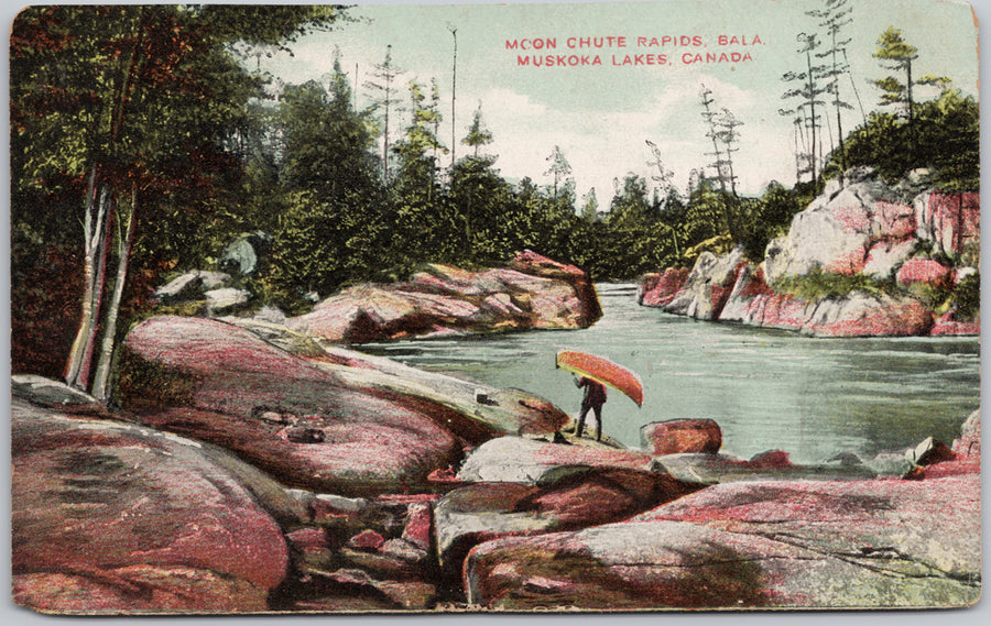 Moon Chute Rapids Bala Muskoka Lakes Postcard 