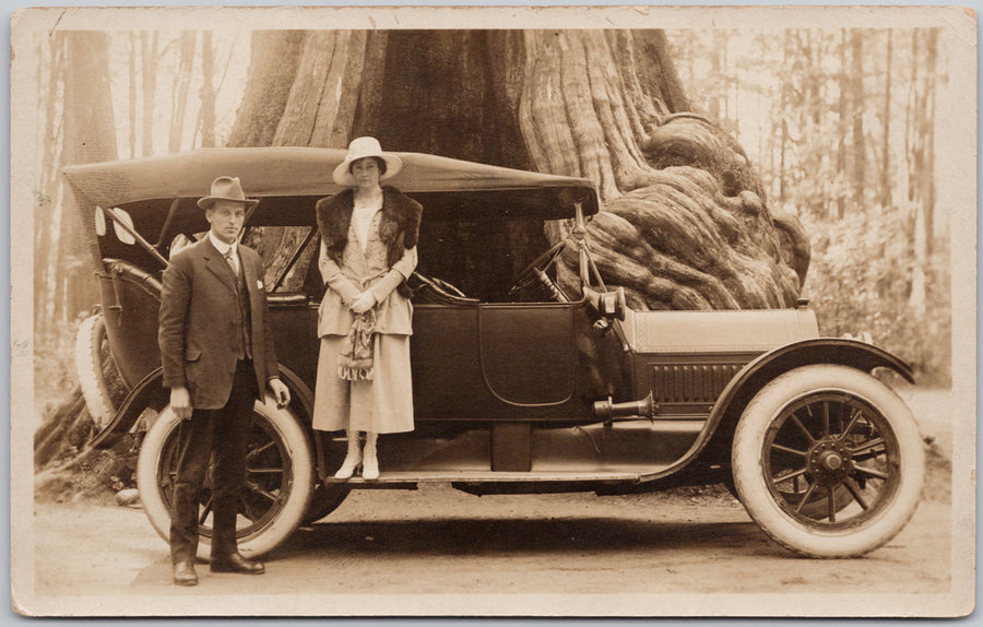 People Automobile Big Hollow Stanley Park Tree Vancouver British Columbia RPPC Postcard 