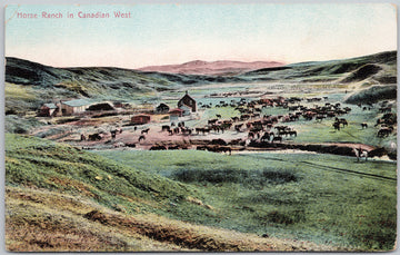 Horse Ranch in Canadian West Postcard
