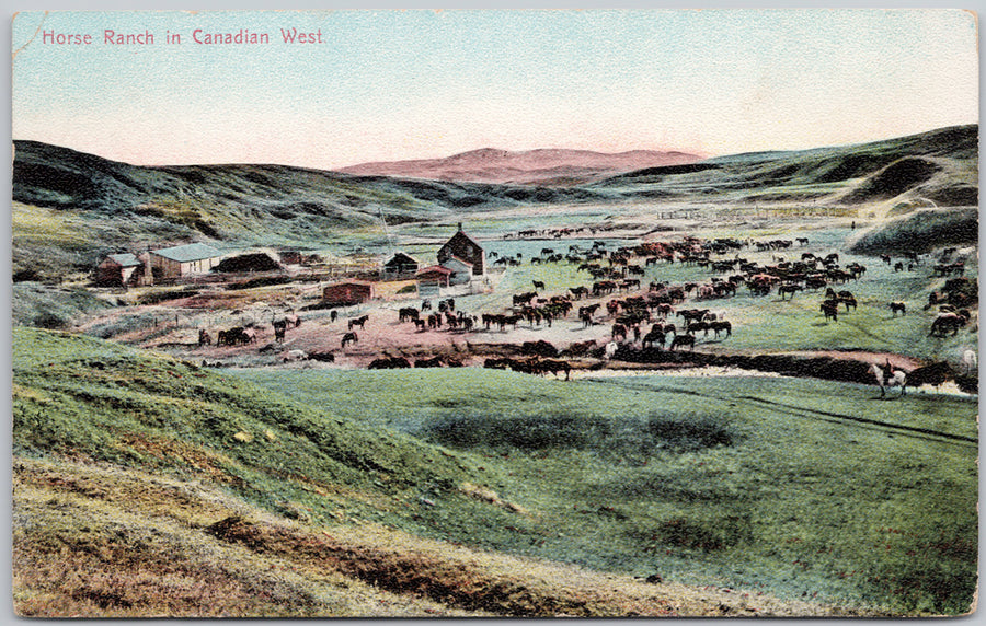 Horse Ranch in Canadian West Postcard
