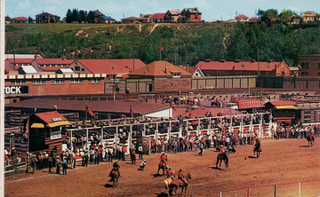 Calgary Alberta Calgary Stampede Rodeo Bucking Bronco Contest Event Postcard 