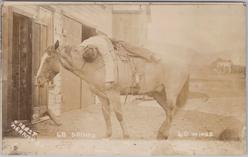 40 Drinks 40 Winks Merritt BC Postcard