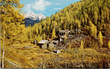 Zincton BC Slocan Valley Lucky Jim Ghost Town Postcard 