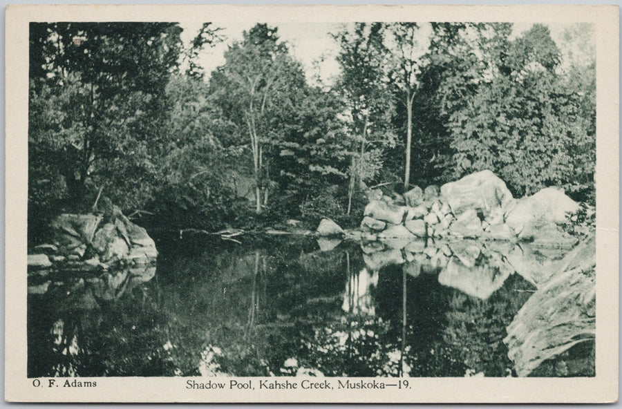 Shadow Pool Kahshe Creek Muskoka Ontario Postcard