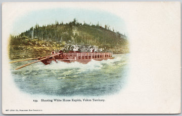 Shooting White Horse Rapids Yukon Canada Postcard