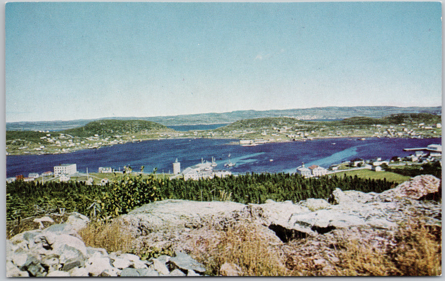 St Anthony Newfoundland Postcard 