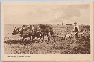 The Western Pioneer Postcard 