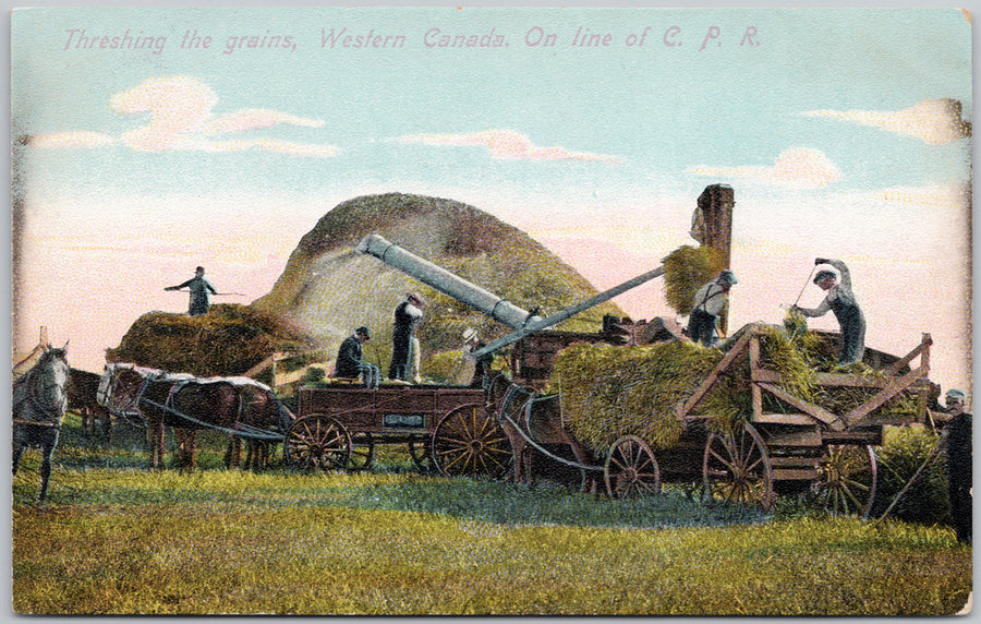 Threshing the Grains Western Canada Prairies Postcard 