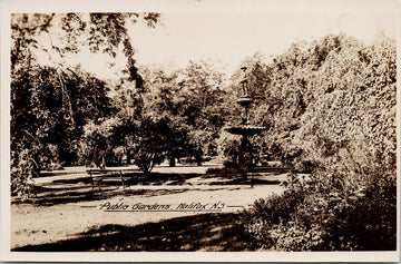 Public Gardens Halifax NS Nova Scotia Gowen Sutton Unused Real Photo Postcard S1