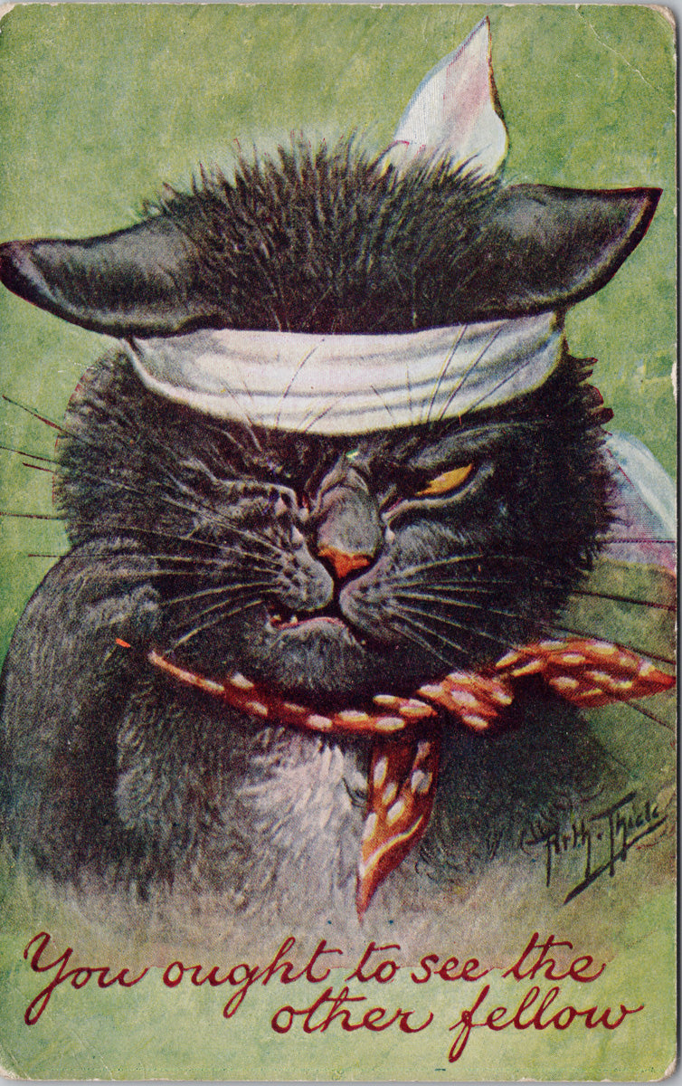 Black Cat Arthur Thiele Artist 'You Ought To See The Other Fellow' Scrappy Cat Postcard S1