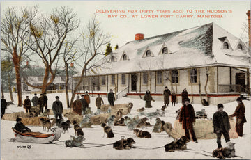 Hudson's Bay Lower Fort Garry Manitoba MB Delivering Fur Dogs Dog Team The Bay Postcard S2