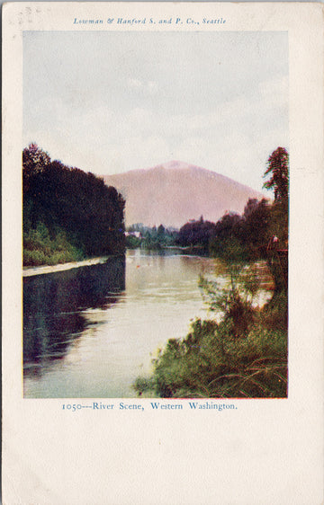 River Scene Western Washington WA c1906 Lowman & Hanford Postcard S2