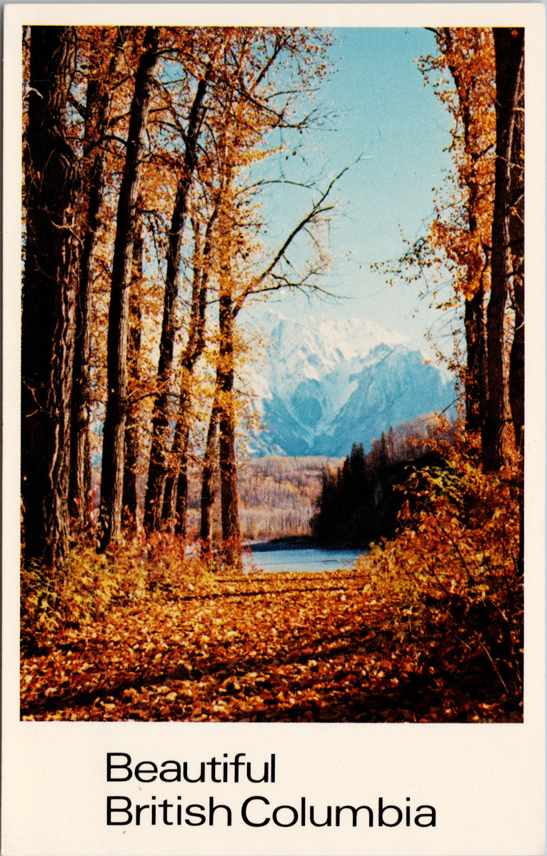 Beautiful British Columbia near Hazelton BC Autumn QSL Radio Postcard S2