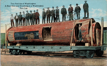 Bear Den in Washington Saw Log WA Northern Pacific Rail c1920 Lowman Postcard S2